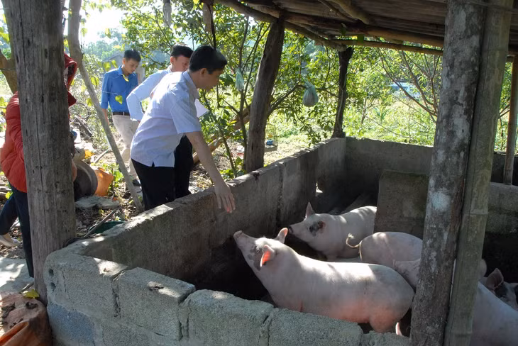 Đoàn giám sát khảo sát việc sử dụng hỗ trợ sản xuất chăn nuôi tại thôn Đồng Thầm, xã Thanh Lâm (Ba Chẽ).