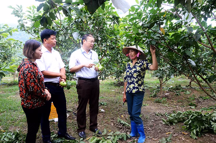 Đồng chí Nguyễn Xuân Hải, Bí thư Đảng ủy kiêm Chủ tịch HĐND xã Sơn Dương, huyện Hoành Bồ thường xuyên tiếp xúc, nắm bắt tình hình thực tế trong nhân dân để cùng bà con tháo gỡ khó khăn trong phát triển sản xuất.