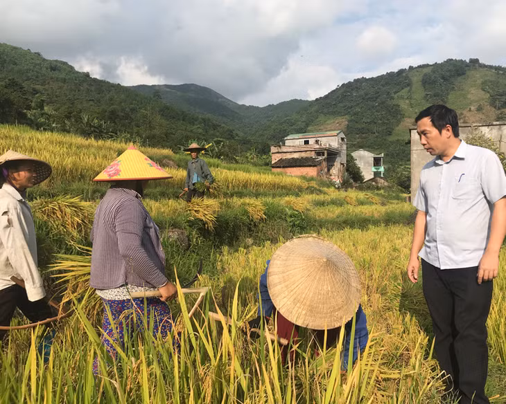 Bí thư Đảng ủy xã, Chủ tịch UBND xã Đại Dực Nguyễn Thế Anh hỏi thăm năng suất lúa của bà con. Ảnh: Khánh Giang