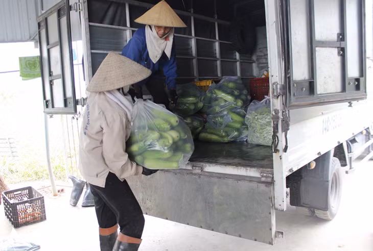 Nhân viên của HTX Hoa Phong tập kết nông sản chuẩn bị xuất bán.