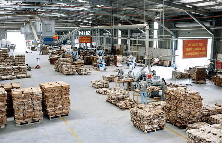 Đầm Hà khởi sắc ảnh 4