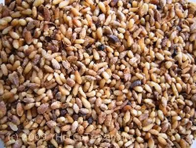 Hạt bá tử nhân