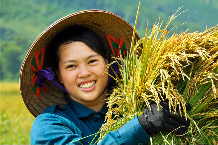 Niềm vui được mùa.