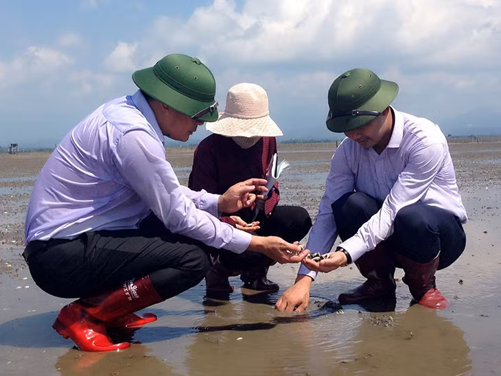 Trong đọt kiểm tra tình hình nuôi nhuyễn thể tại huyện hải hà tháng 5/2018, đoàn kiểm tra liên ngành đã khuyến cáo tình trạng người dânới mật độ quá dày thả nuôi ngao v 