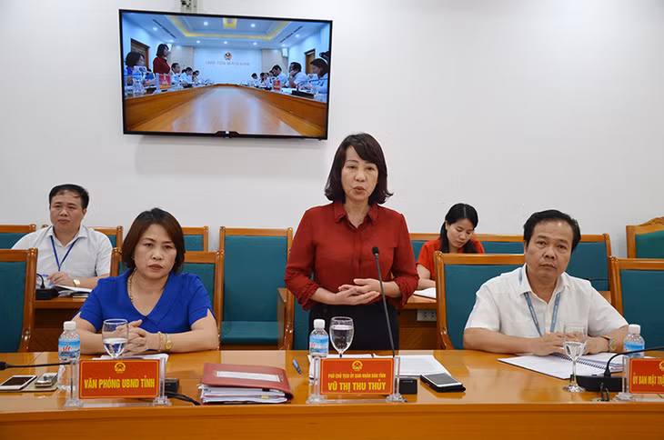 Đồng chí Vũ Thị Thu Thủy, Phó Chủ tịch UBND tỉnh phát biểu tại buổi làm viêc.