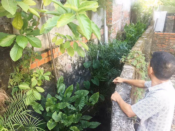 Để tiêu thoát nước trong khu vực, nhiều hộ dân đã tự nguyện lùi tường rào làm rãnh thoát nước (Ảnh: Thanh Hoa)