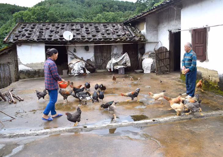 Gia đình bà nhân