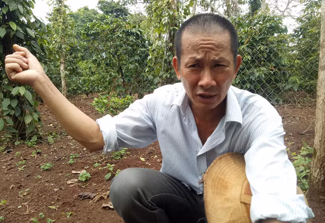 Ông Đỗ Sỹ Sự kể lại sự việc. Ảnh: Trần Hoá.