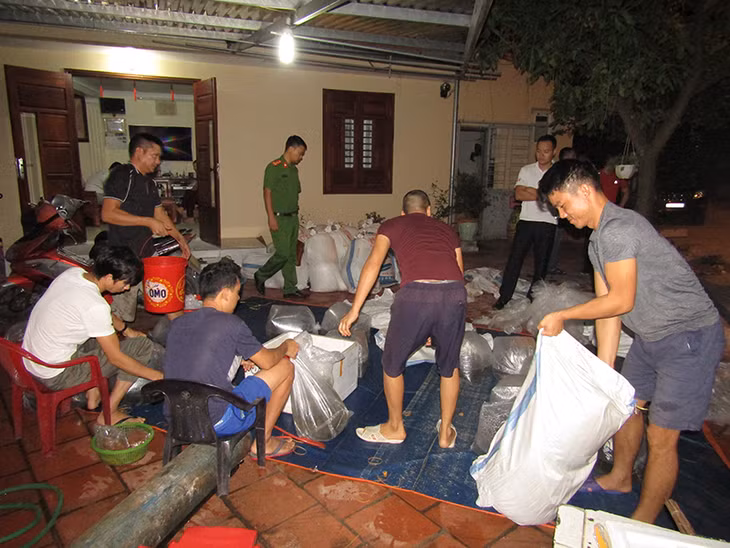 Số cá giống nhập lậu.
