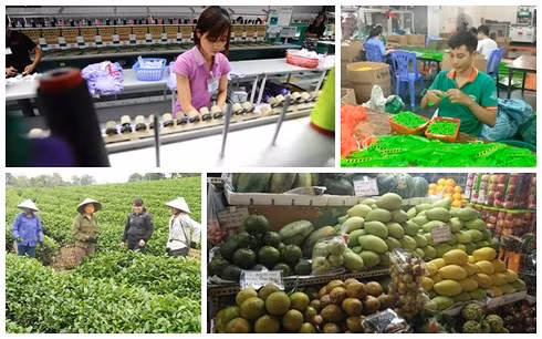 Hiệp định Tự do Thương mại giữa Việt Nam và EU sẽ giúp xóa bỏ trên 99% thuế quan đánh vào hàng hóa giao thương giữa hai phía.