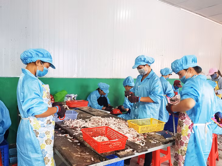 Công nhân làm việc tại Nhà máy xử lý thực phẩm trong CCN Nam Sơn (Ba Chẽ).
