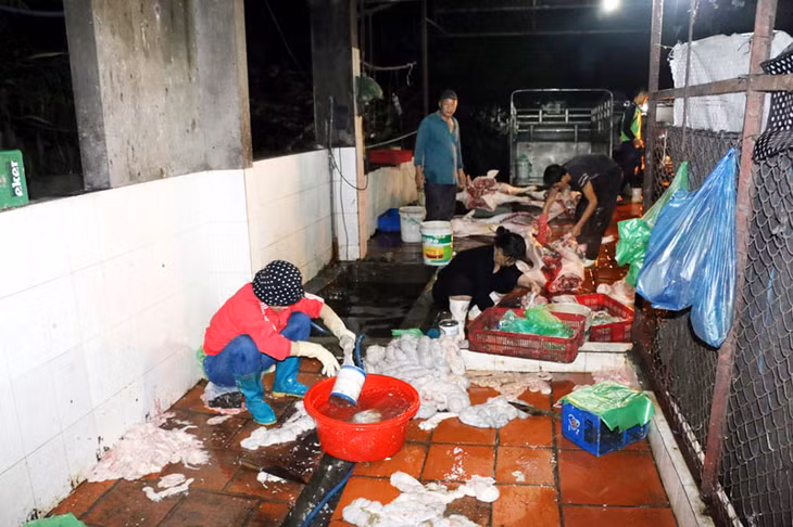 Cơ sở giết mổ của hộ ông Nguyễn Đình Phong (phường Hà Khánh, TP Hạ Long) chưa đảm bảo VSATTP.