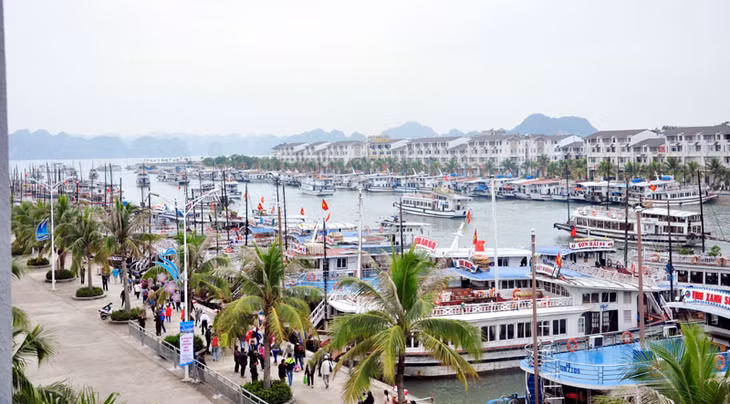 Với sự vào cuộc mạnh mẽ của chính quyền TP Hạ Long, hoạt động của các tàu du lịch trên Vịnh đã dần đi vào nền nếp, đảm bảo phục vụ an toàn, thân thiện cho du khách. Trong ảnh: Cảng tàu khách quốc tế Tuần Châu. Ảnh: Hữu Duy