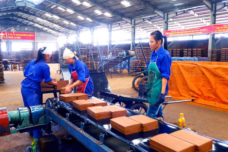 Sản xuất gạch xây dựng tại Công ty CP Gốm và Xây dựng Hạ Long 1 (Hoành Bồ).