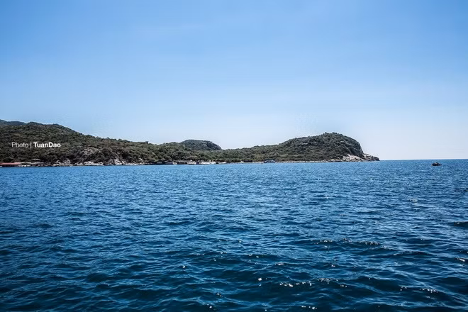 Ngồi tàu từ vịnh, du khách có thể lênh đênh trên biển ngắm nhìn toàn cảnh đảo cá Heo, đảo Rùa, … hay các ngư dân đang đánh bắt tôm hùm, cá chẽm, hai trong số hải sản nổi tiếng của vịnh.