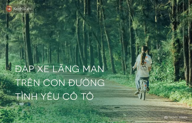 Bất kỳ ai đến Cô Tô cũng sẽ được rỉ tai nhau về 1 con đường tình yêu cực lãng mạn nơi đây. Con đường dài hơn 2km nằm cách trung tâm thị trấn Cô Tô 100m này được lát gạch đỏ trải dài, men theo bờ biển, 2 bên là 2 hàng dương xanh ngắt đủ sức chinh phục bất kỳ cặp đôi nào. Dù đi bộ hay đi xe đạp, bạn cũng sẽ cảm nhận được không khí vô cùng lãng mạn. Đây cũng chính là nơi được các cặp đôi chọn làm địa điểm chụp ảnh cưới đẹp nhất.