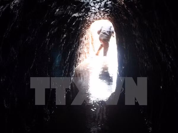 (Ảnh minh họa: Nguyễn Dũng/TTXVN)