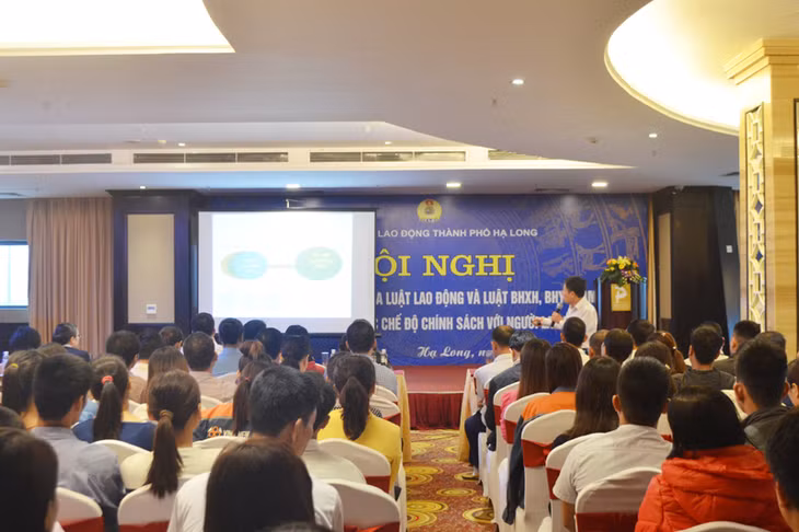 Quang cảnh hội nghị