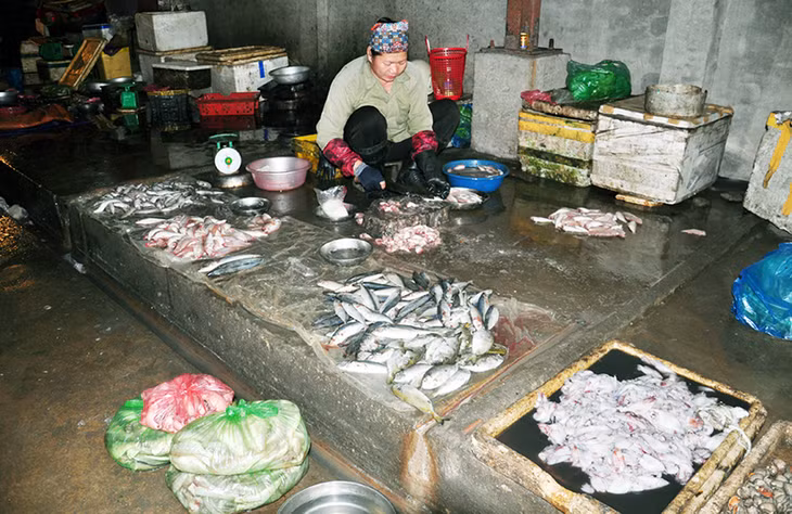 Sạp bán của bà Vũ Thị Đăng ở chợ Bang, xã Thống Nhất (Hoành Bồ) mất vệ sinh ATTP: Cá bày ngay cạnh rãnh nước, trên nền xi măng.