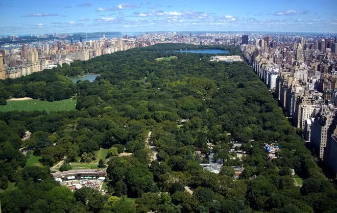  New York, Mỹ Nổi tiếng với vẻ hiện đại, đông đúc, nhiều du khách có thể giật mình khi thấy New York được đánh giá là một trong những thành phố nhiều cây xanh nhất thế giới. Ít nhất 20% diện tích New York hiện dùng để trồng cây xanh, trải những thảm cỏ tươi mát làm công viên phục vụ người dân và du khách.