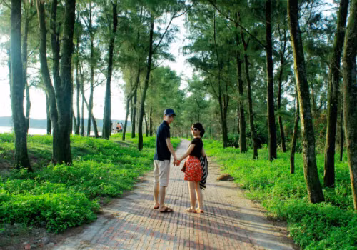 "Con đường tình yêu" là nơi hẹn hò nên thơ dành cho du khách khi có dịp đến với biển Cô Tô. Ảnh: PYS Travel