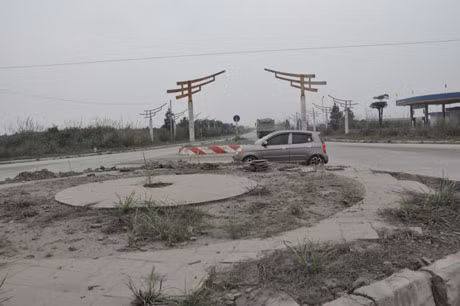 Cỏ mọc trên đảo giao thông trông rất mất thâm mỹ 