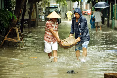 UBND TP Hạ Long chỉ đạo tăng cường kiểm tra hệ thống đê, kè, cống thoát nước trước mùa mưa bão.