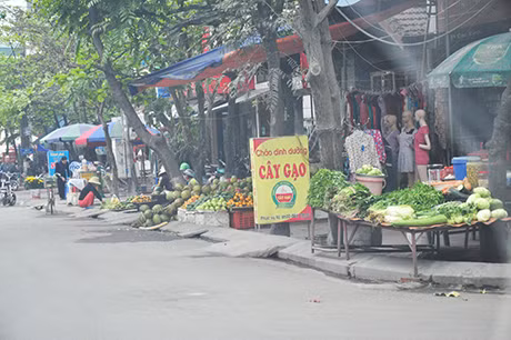 Nhức nhối nhất là khu vực gần chợ Sa Tô, vỉa hè thành nơi họp chợ.