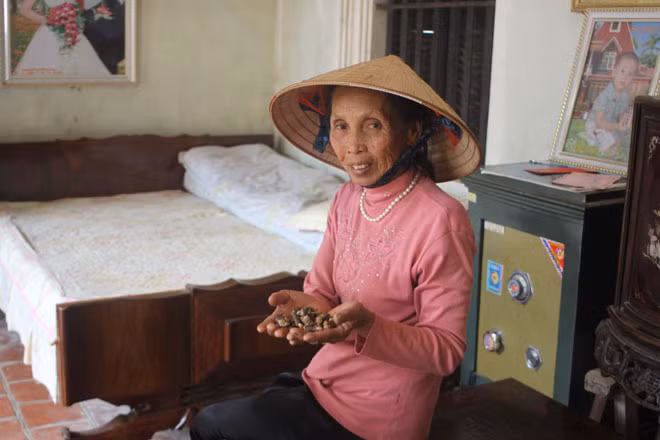 Bà Lê Thị Nhàn “khoe” những cây nấm lim xanh thành phẩm. 