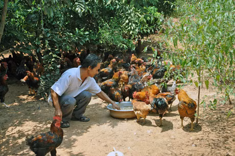 Ảnh minh hoạ