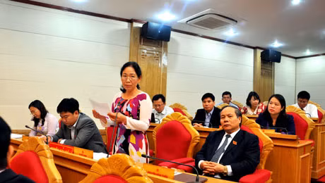 Đại biểu Lê Thị Thoa, Tổ Hải Hà góp ý kiến tại phiên họp.