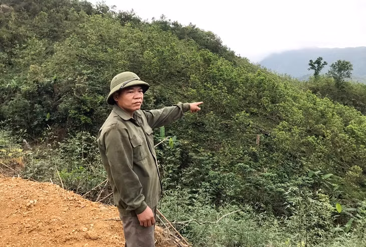 đối tượng Lý Tài Quý 