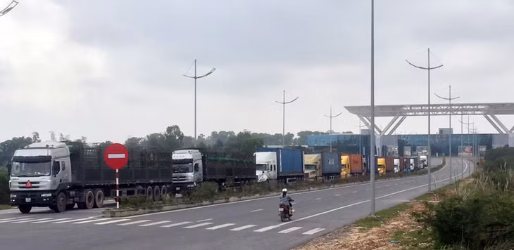 XNK hàng hóa qua cầu Bắc Luân 2.