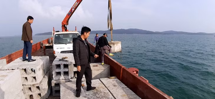  Các đơn vị thi công tổ chức thả giá thể bê tông tại khu vực đảo Hòn Khói (thuộc xã Đồng Tiến, Cô Tô).