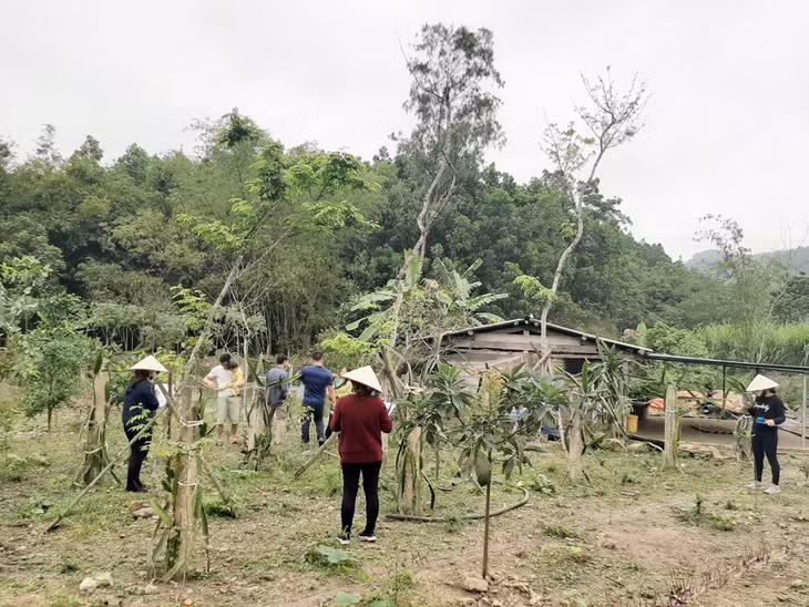 Tháng 2/2020, Trung tâm Phát triển quỹ đất TP tăng cường một tổ công tác xuống xã Dương Huy để 
