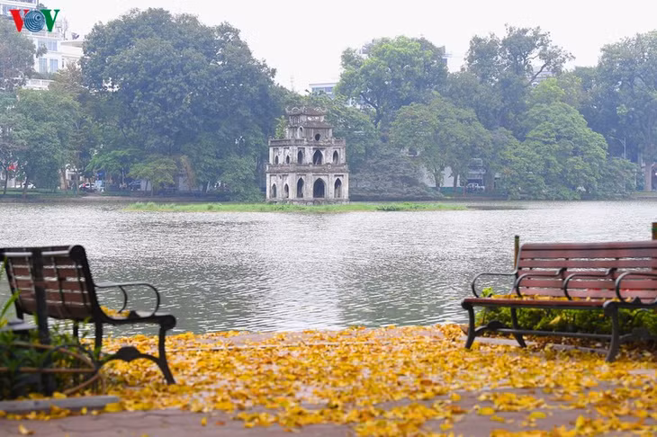 Thế nhưng trước những lo âu về đại dịch Covid-19, dường như con người ta đã bỏ lỡ thời khắc thay lá đẹp đẽ này.