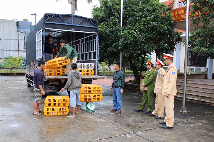 Lực lượng cảnh sát giao thông Công an huyện Hải Hà kiểm tra phương tiện và thu giữ 1 tấn số gà nhập lậu.