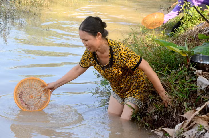 Vớt rươi với vật dụng rất đơn giản là 1 chiếc rá nhựa