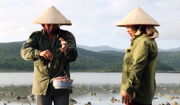 Sá sùng tươi được thu mua tại bãi với giá trung bình gần 300.000 đồng/kg.
