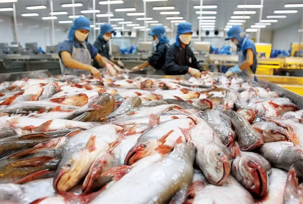 Xuất khẩu thuỷ sản đạt 6,4 tỷ USD.