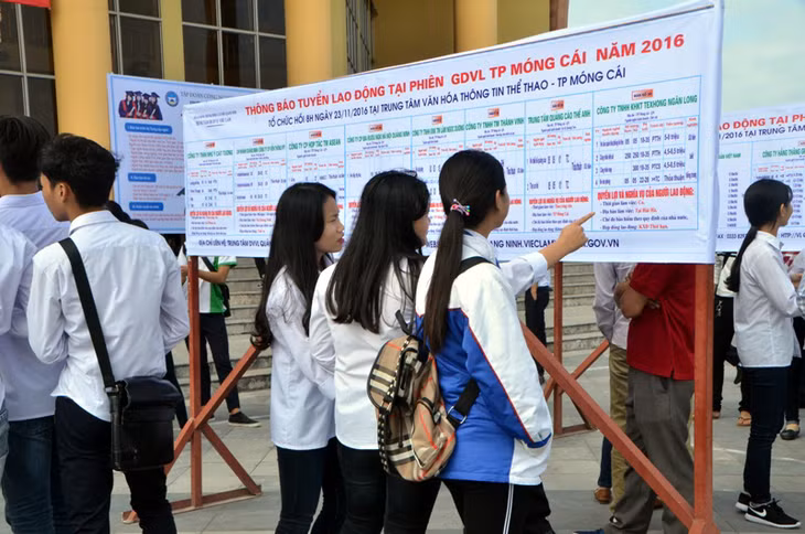 Tìm hiểu thông tin nhu cầu lao động và học tập.