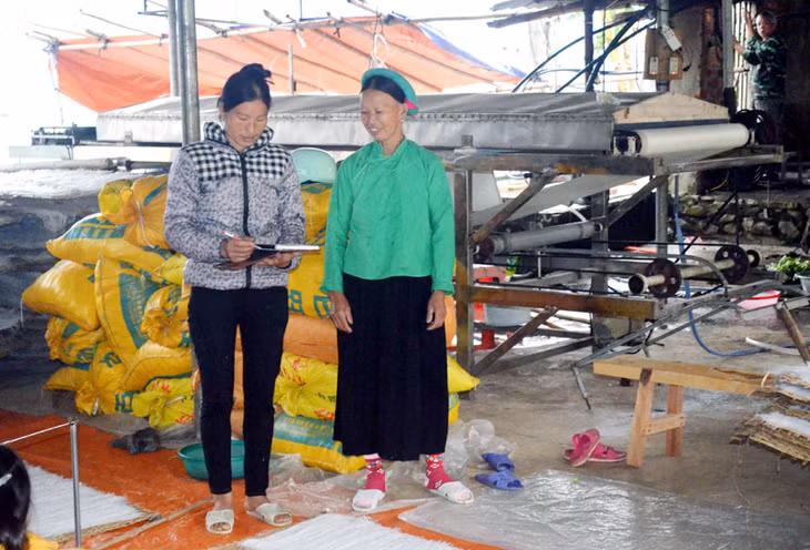 Chị Lạc Thị Sín, thôn Lục Ngù, xã Húc Động, sau khi qua lớp xoá mù chữ đã biết ghi chép sổ sách, cùng gia đình quản lý xưởng sản xuất miến dong.