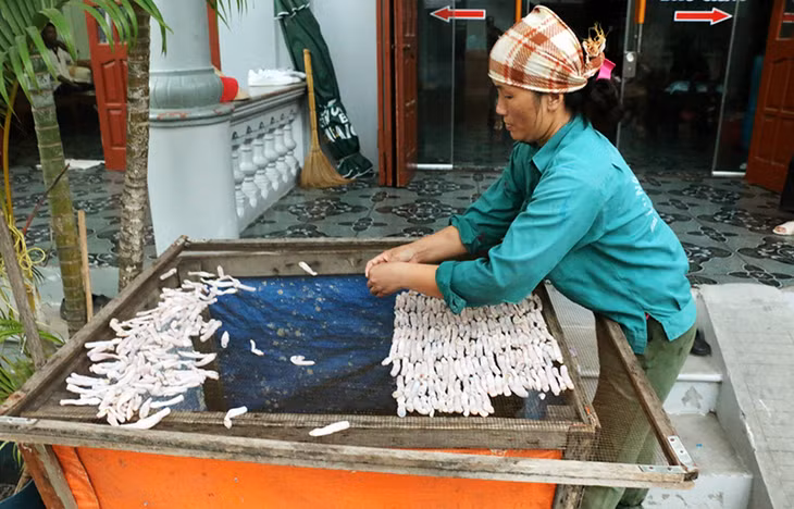 Sá sùng được ngư dân phơi khô, bán với giá từ 3-4 triệu đồng/kg.
