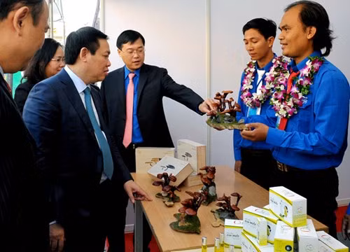 Những nông dân triệu phú ảnh 1 Anh Phạm Thành Lộc (SN 1981) ở huyện Củ Chi, TPHCM, giới thiệu sản phẩm với Phó Thủ tướng Vương Đình Huệ và Bí thư thứ nhất T.Ư Đoàn Lê Quốc Phong. Ảnh: Xuân Tùng.