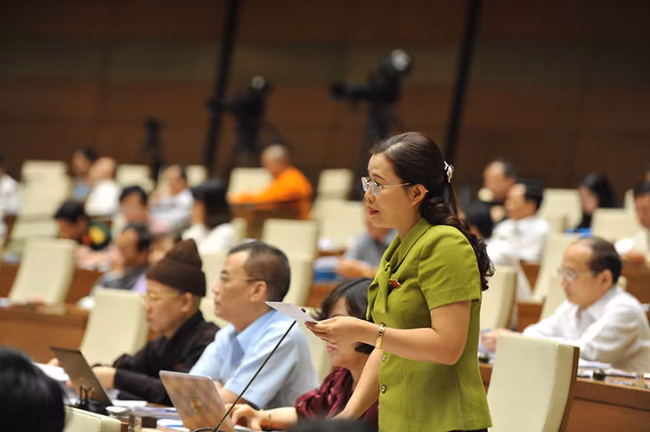 Đại biểu Đỗ Thị Lan, Phó Trưởng Đoàn ĐBQH tỉnh phát biểu tại hội trường.