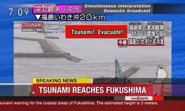 (Nguồn: NHK World Japan)