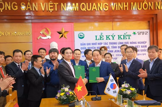 Huyện Hoành Bồ ký kết bản ghi nhớ hợp tác trong lĩnh vực nông nghiệp với huyện DamYang, Hàn Quốc. (Ảnh: Trung tâm Truyền thông Văn hóa huyện).