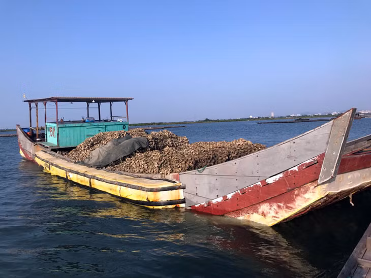 Hoàng cùng tang vật.