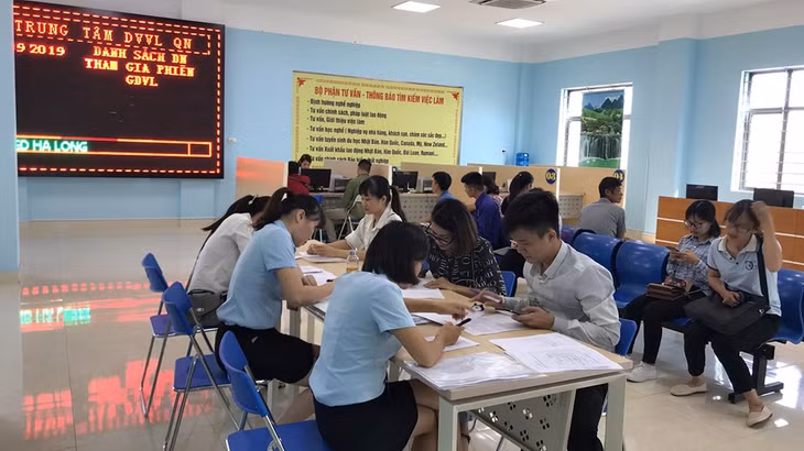 Cán bộ Trung tâm Dịch vụ việc làm tỉnh tư vấn giới thiêu việc làm cho người lao động.