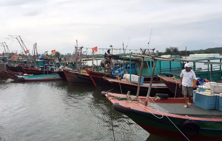 Hàng trăm tàu, thuyền cập bến Đầm Buôn trong ngày nước lớn.